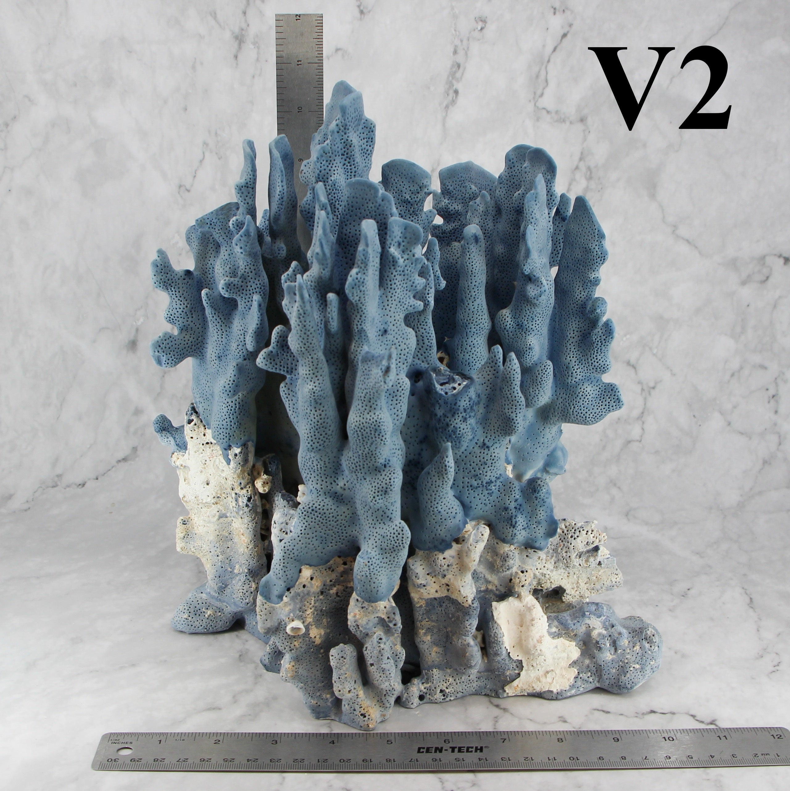 Blue Coral 10-12