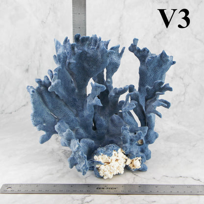 Blue Coral 10-12"