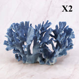 Blue Coral 10-12"