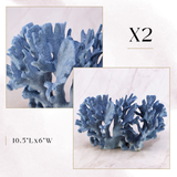 Exclusive Coral Drop | Week 1