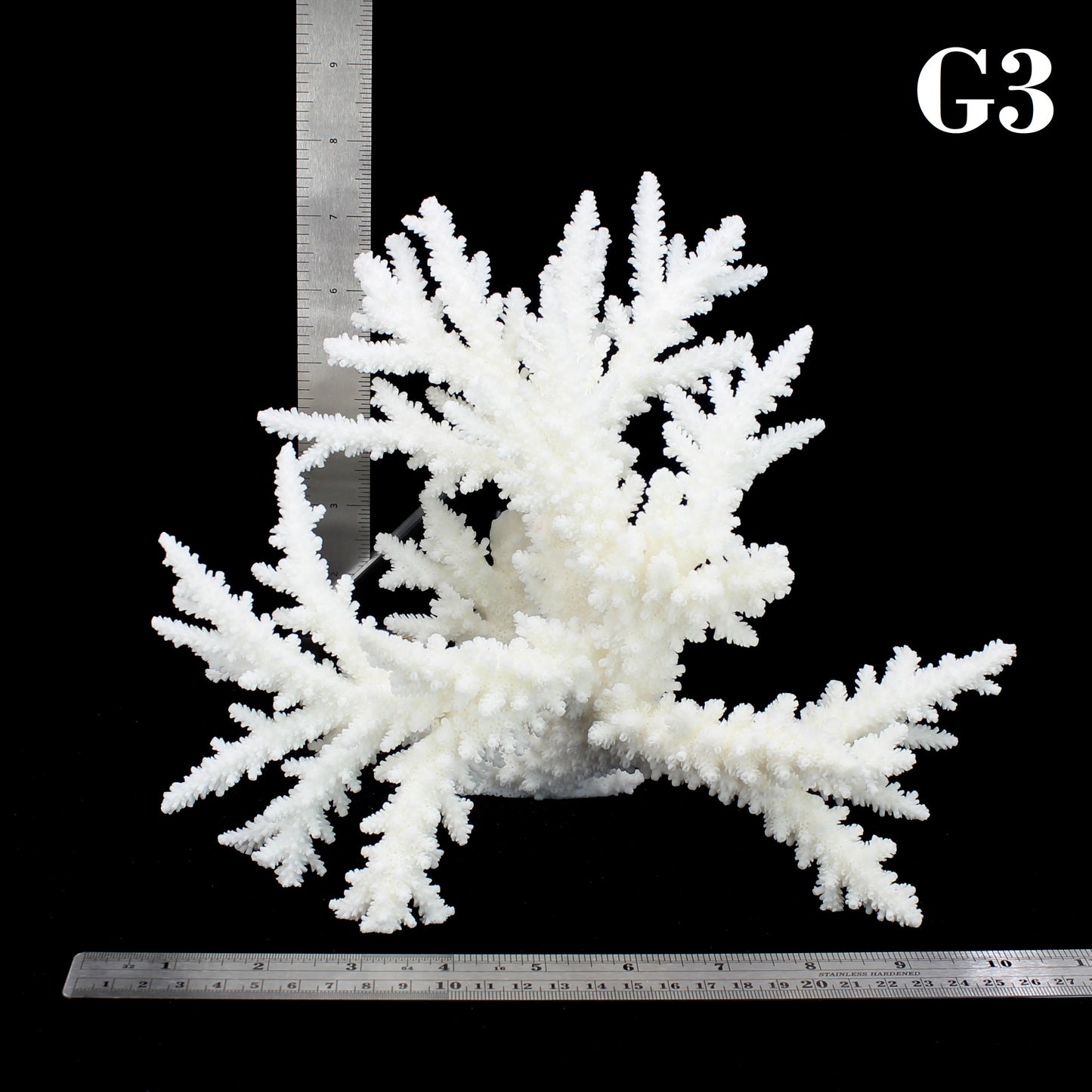 Branch Coral 10-12"