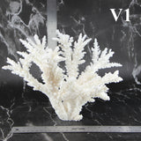 Branch Coral 10-12"
