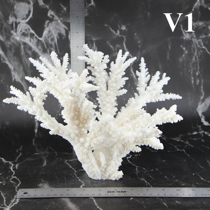 Branch Coral 10-12"