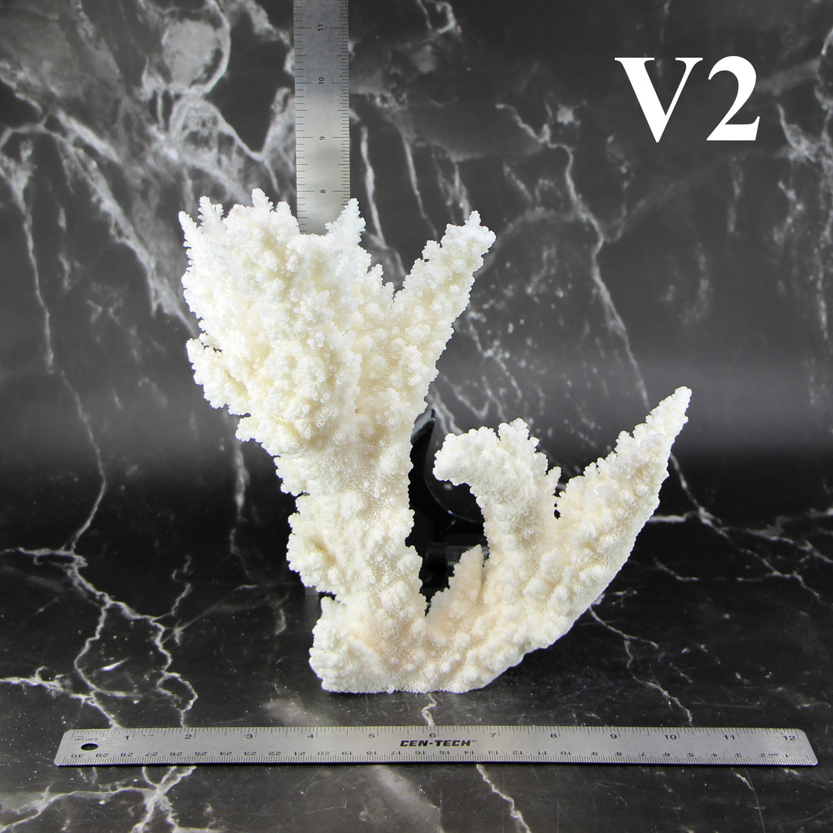 Branch Coral 10-12"