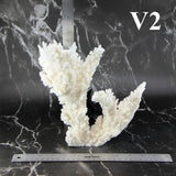 Branch Coral 10-12"