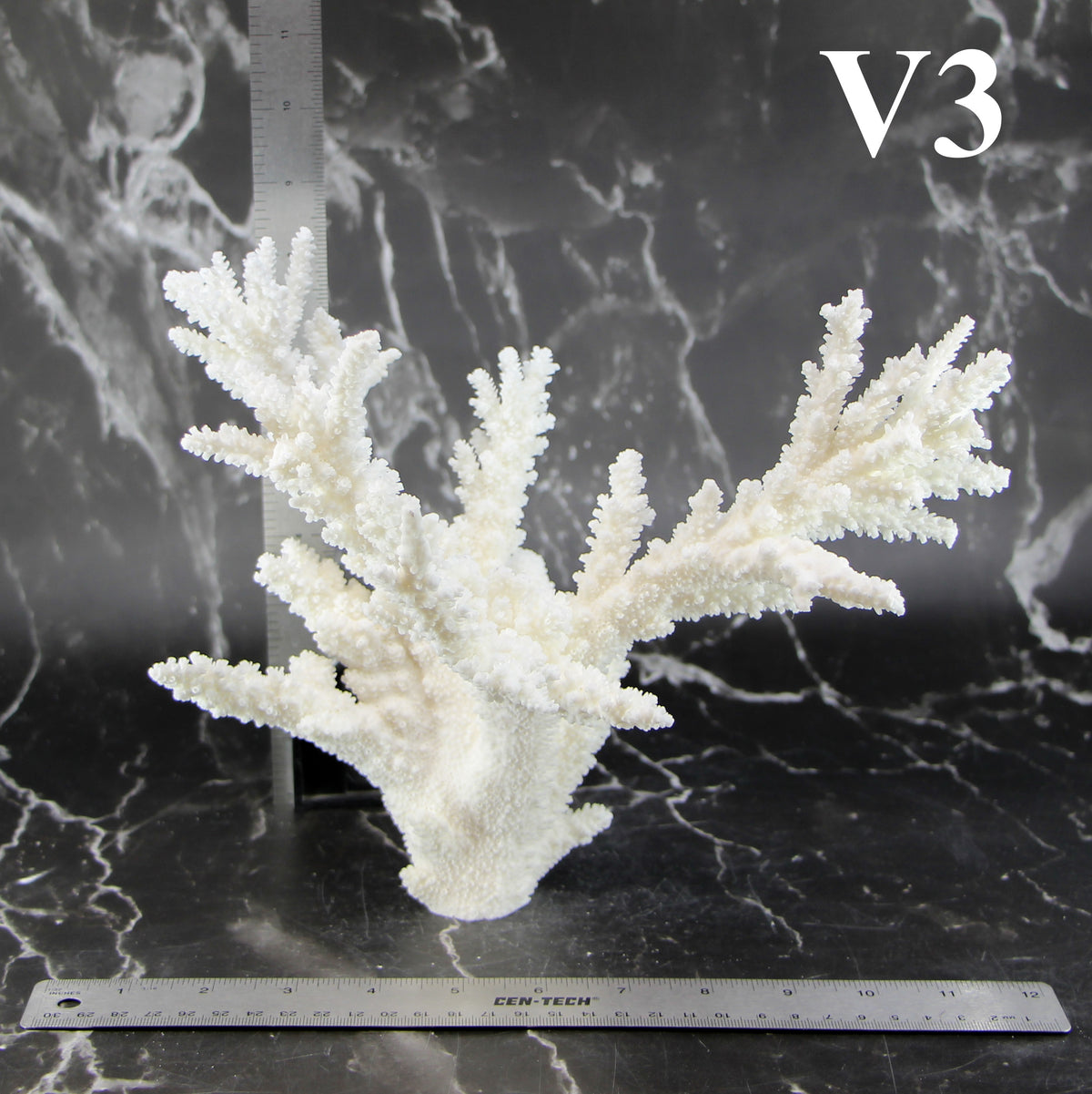 Branch Coral 10-12"