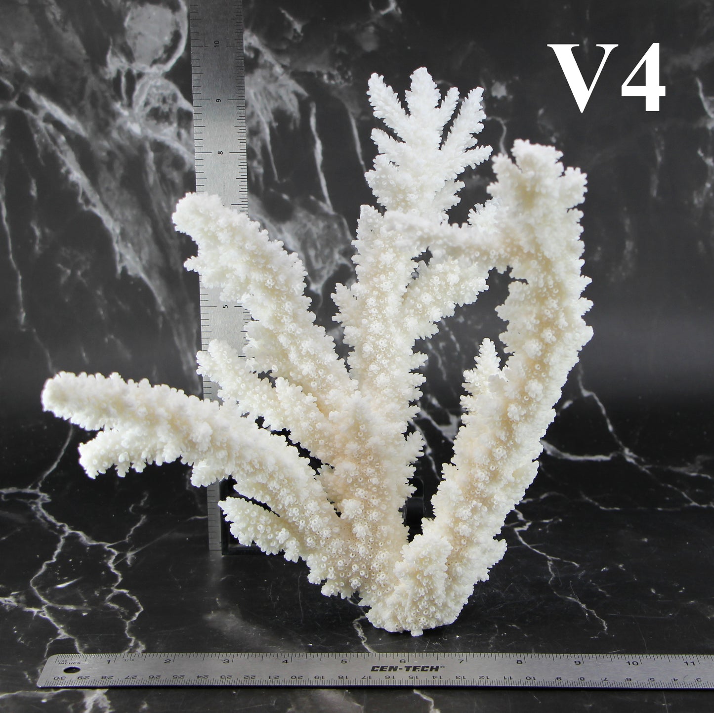 Branch Coral 10-12"