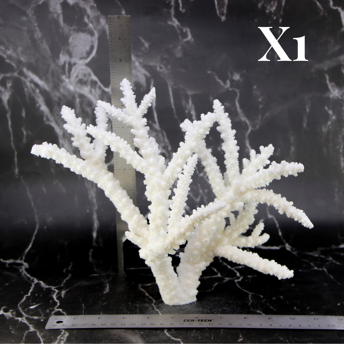 Branch Coral 10-12"