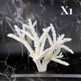 Branch Coral 10-12"