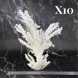 Branch Coral 10-12"