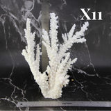 Branch Coral 10-12"