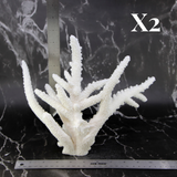 Branch Coral 10-12"