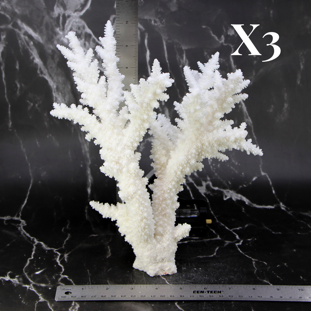 Branch Coral 10-12"