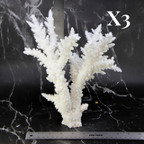 Branch Coral 10-12"