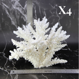 Branch Coral 10-12"