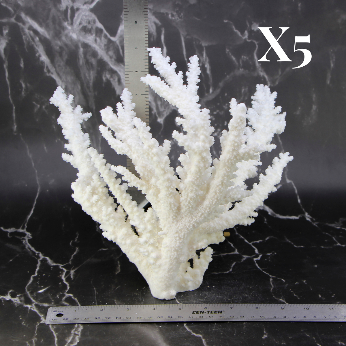 Branch Coral 10-12"
