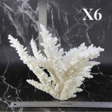 Branch Coral 10-12"