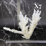 Branch Coral 10-12"