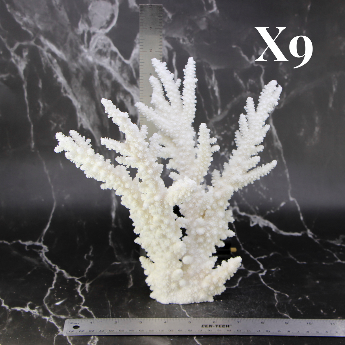 Branch Coral 10-12"