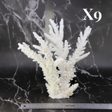 Branch Coral 10-12"