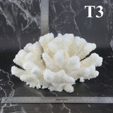 Cauliflower Coral 10-12"