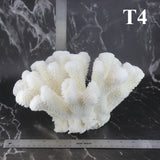 Cauliflower Coral 10-12"
