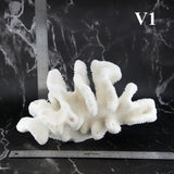Cauliflower Coral 10-12"
