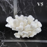 Cauliflower Coral 10-12"