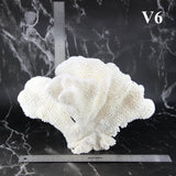Cauliflower Coral 10-12"