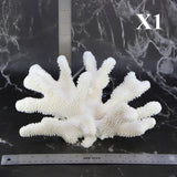 Cauliflower Coral 10-12"