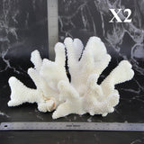 Cauliflower Coral 10-12"