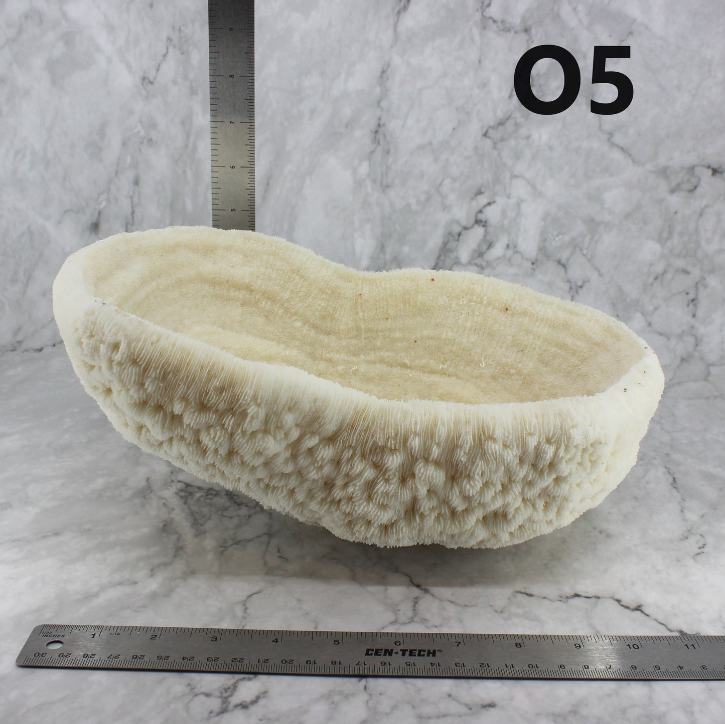 Coral Bowl 10-12"