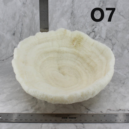 Coral Bowl 10-12"