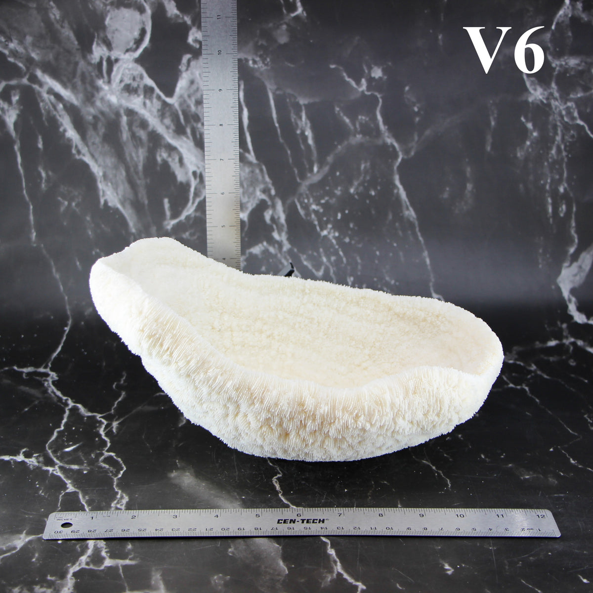 Coral Bowl 10-12"