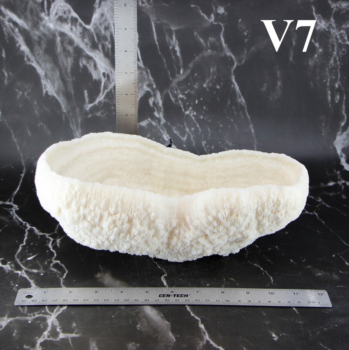 Coral Bowl 10-12"