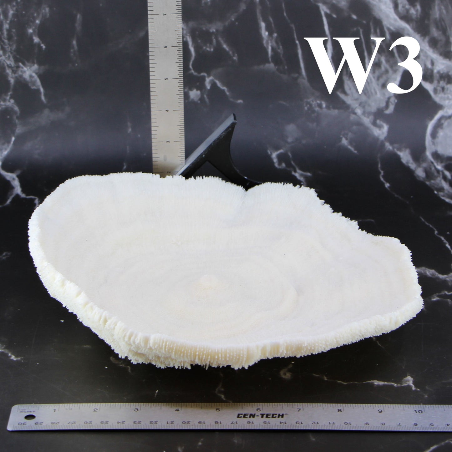 Coral Bowl 10-12"