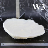 Coral Bowl 10-12"