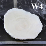 Coral Bowl 10-12"