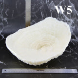 Coral Bowl 10-12"