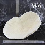 Coral Bowl 10-12"