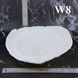 Coral Bowl 10-12"