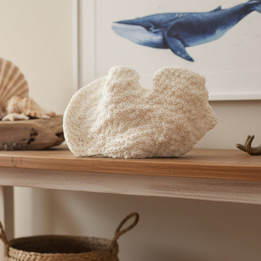 Cup Black Coral 10-12"