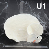 Cup Coral 10-12"