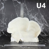 Cup Coral 10-12"