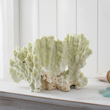 Fire Slab Coral 10-12"