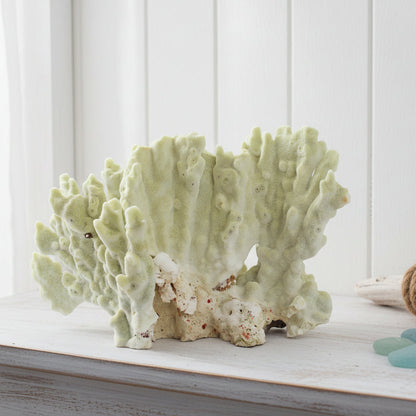 Fire Slab Coral 10-12"