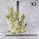 Fire Slab Coral 10-12"