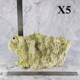 Fire Slab Coral 10-12"