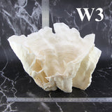 Rugosa Coral 10-12"