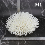Table Coral 10-12"